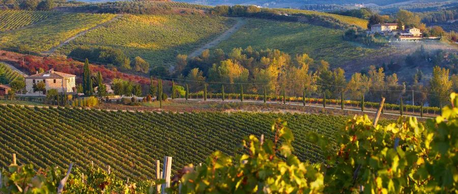 5ab03216aead891f3423c7a384fb8c2a.jpg 5.jpg