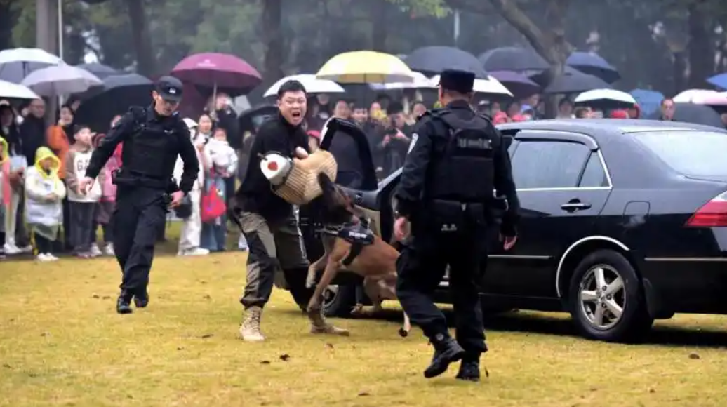 ac801cdd5db2567c3028b6c4ecdc0830.png 3da1eef5-c334-4db4-8667-2e3a535f1c32.png