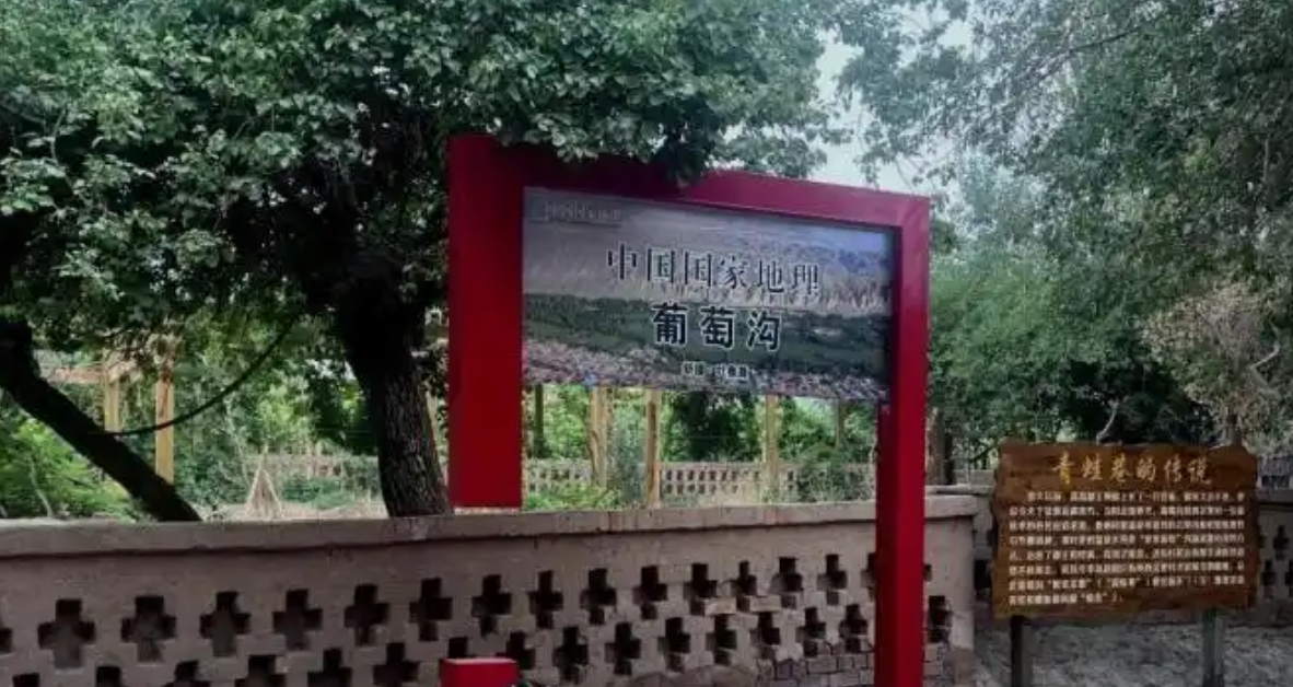 d753e3e6-dd0f-44fb-991f-1ba60c725892.png